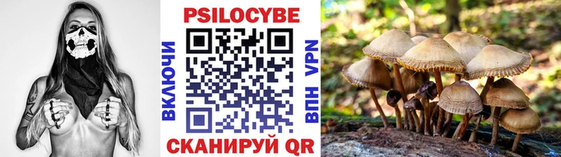 Псилоцибиновые грибы прущие грибы Карачев